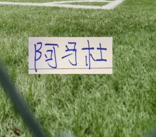 波罗,今日表现引,失望,开云,KaiYun,开云官网,开云体育官网,开云体育下载,开云APP