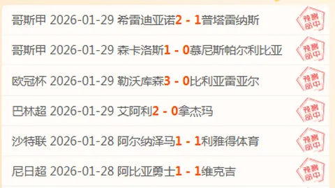 少年光芒，布朗热血：携手共助球队问鼎荣耀