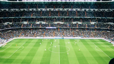 1月11日亚冬会门票正式发售，官方指定购票渠道为央视新闻客户端。