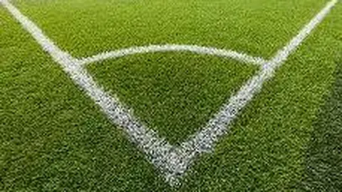 大乐透期号专家质合分析：火影跑助力51区外星人解救